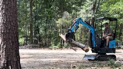 how to knock down pine trees with mini excavator|excavator knocks down trees.